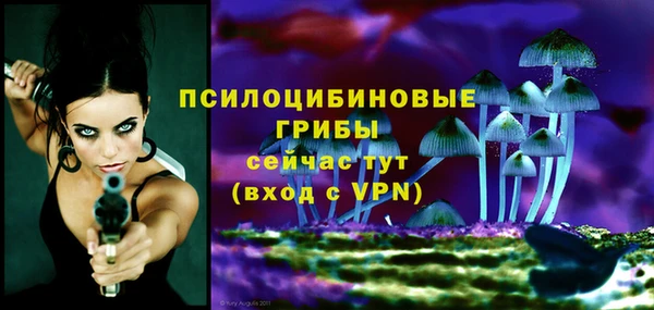 кокс Алексин