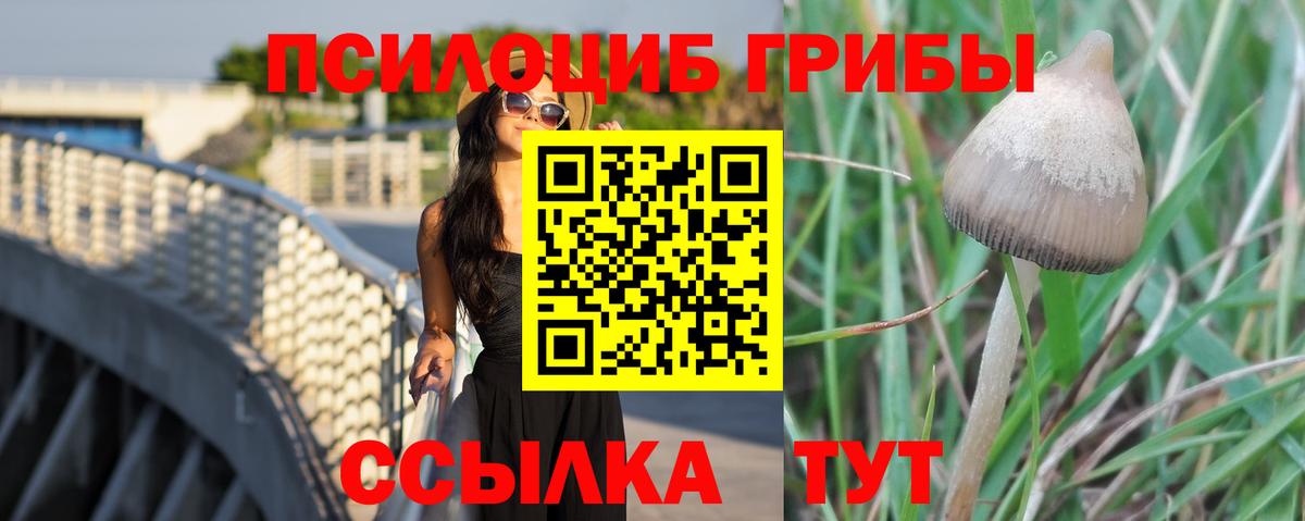 Всеволожск  Псилоцибиновые грибы Psilocybine cubensis  Вход с VPN  Псилоцибиновые грибы мухоморы 