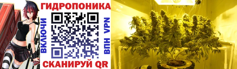 ссылка на мегу tor  Всеволожск  Бошки Шишки Ganja 